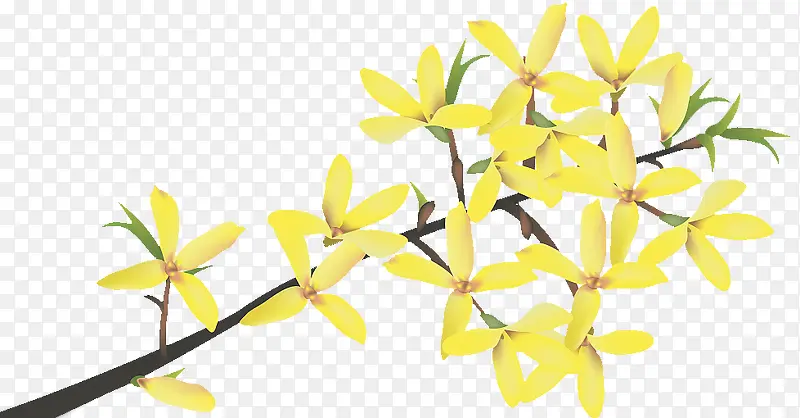 �ֻ�ƻ�֦ѿ-������