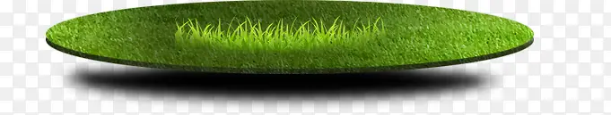 ����Բ�β�ƺ-������