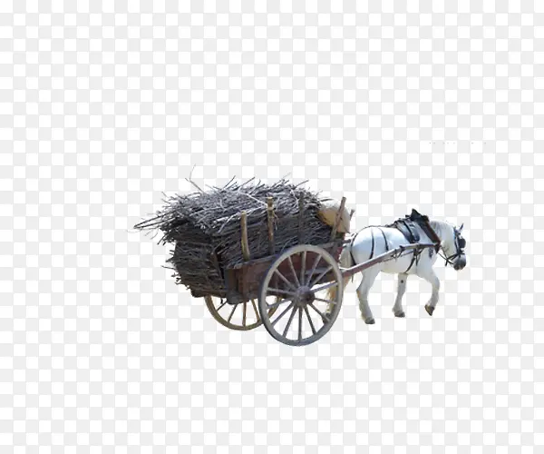 ��������ľ��-������