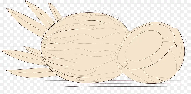 Ҭ��ˮ��-������