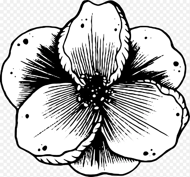 �ֻ滨��-������