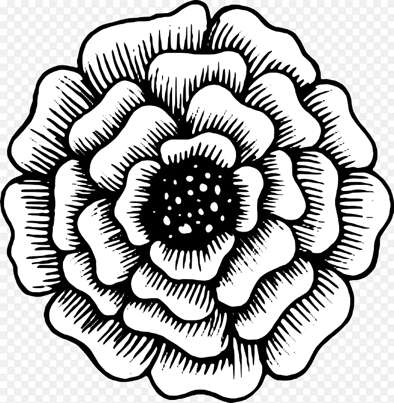 �ֻ滨��-������