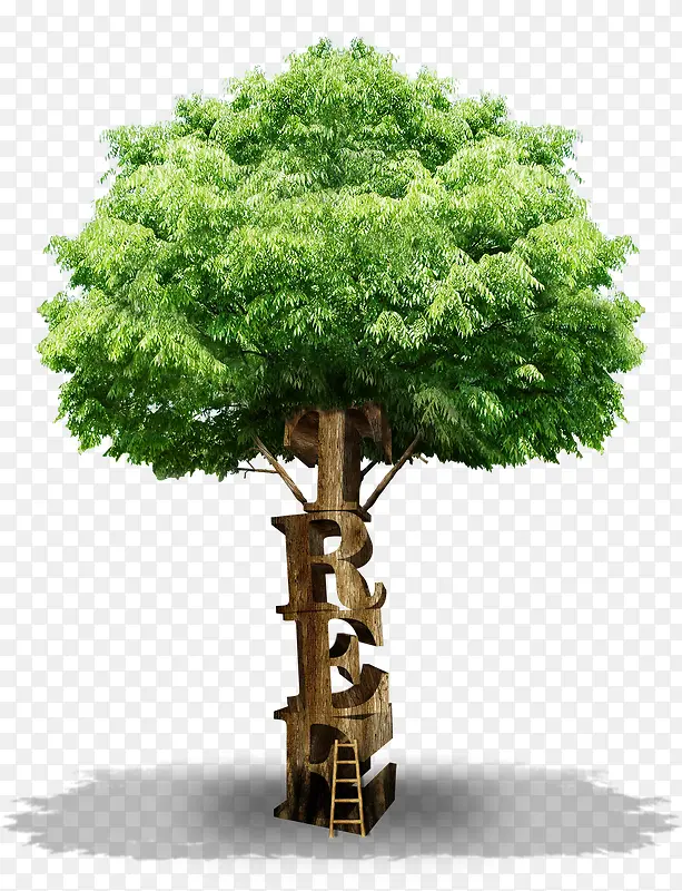 ������-������