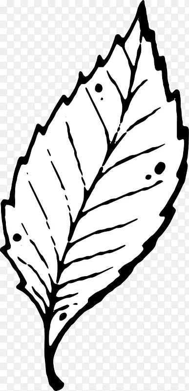 �ֻ���Ҷ-������