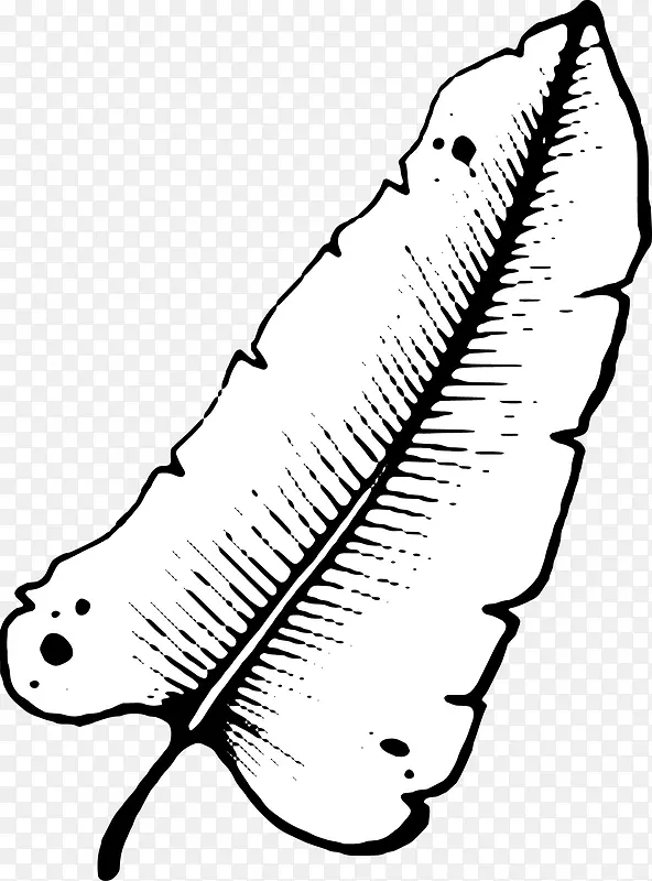 �ֻ���Ҷ-������