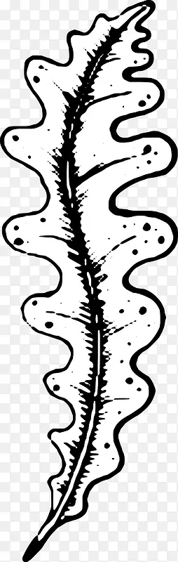 �ֻ���Ҷ-������