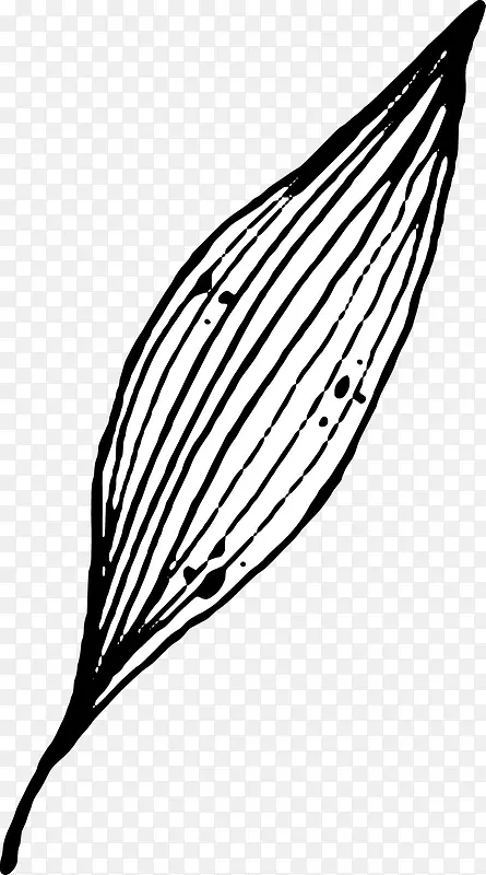 �ֻ���Ҷ-������