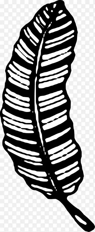 �ֻ���Ҷ-������