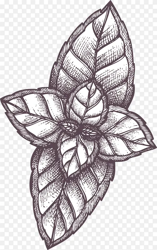 �ֻ澫���ڰ���Ҷ-������