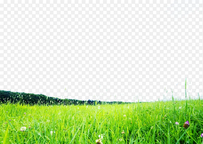 ������Ӱ�ݴԻ�԰���-������