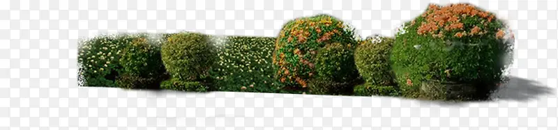 ������Ӱ��԰�ݴ�-������