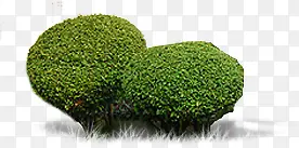 ������Ӱ��ɫ��԰�ݴ�-������