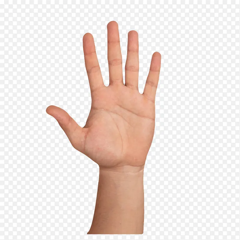 ��ͨ����۰׵�С��PNG-������