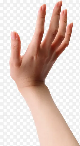 ��ģ-������