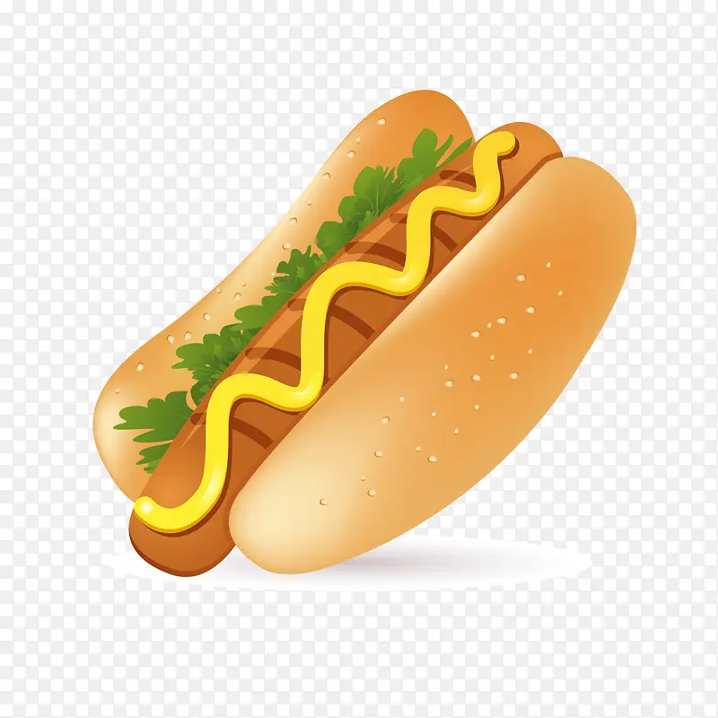 ��ͨ�ȹ����ʳ�����-������