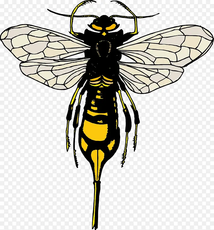 �ֻ��Ӭ�ز�ͼƬ-������