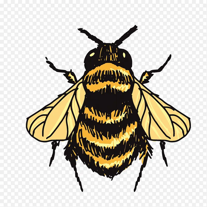 ��Ӭ-������