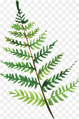 ���߲�-������