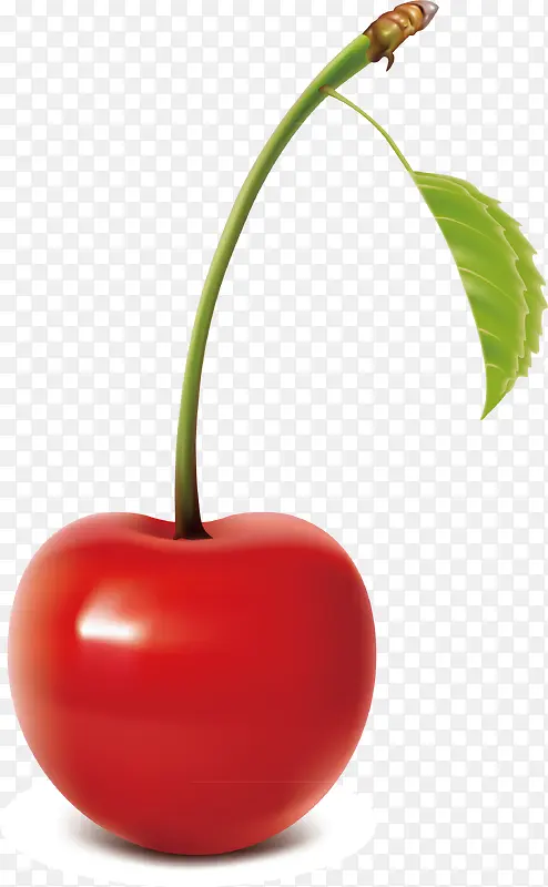 ӣ��װ�����-������