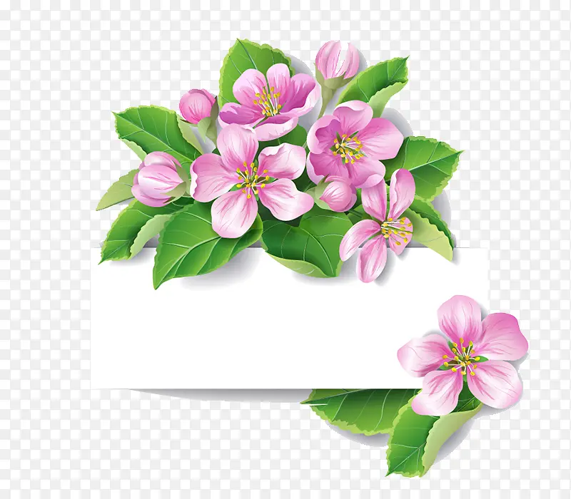 �����ǩ-������