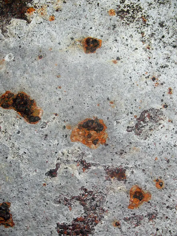 �⼣�߰߱���-������