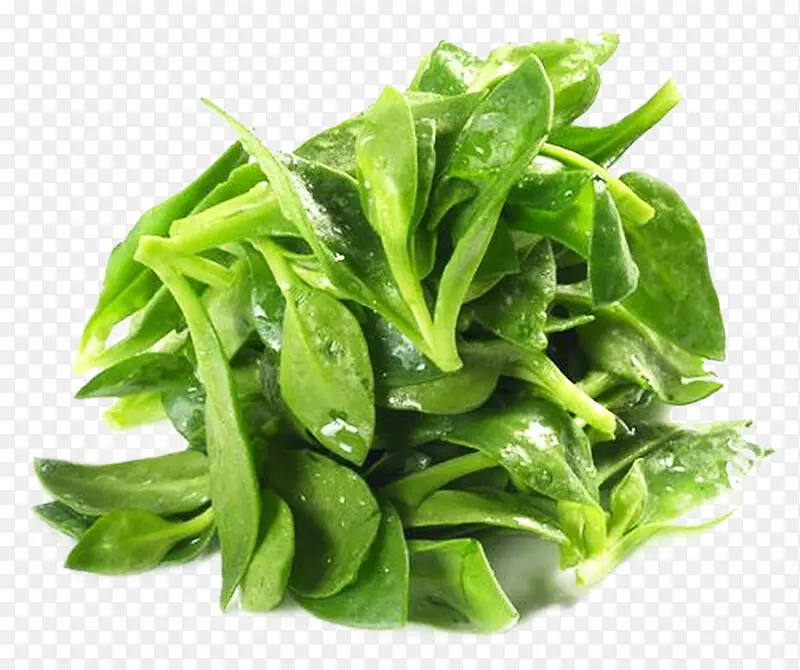 �л��߲�-������