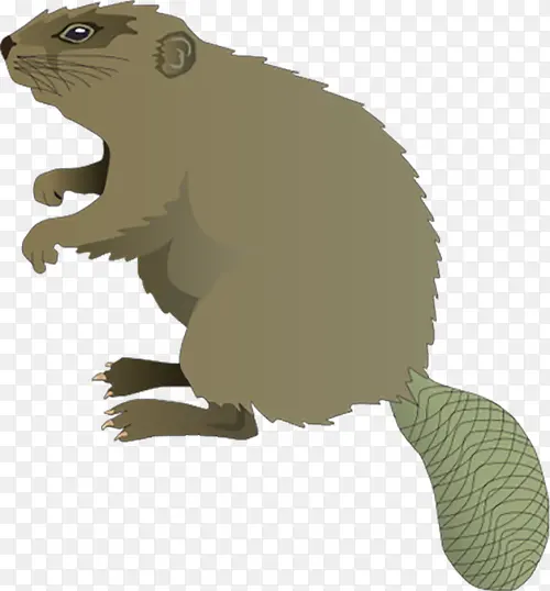 ���꿨ͨ-������