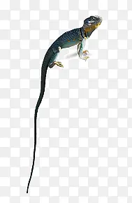 ����-������