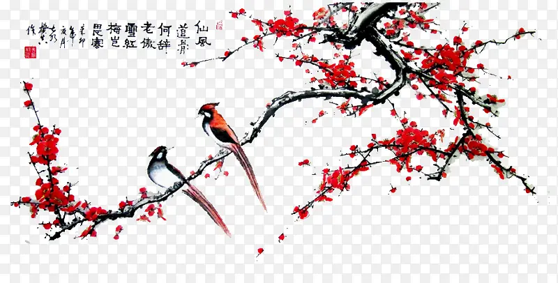 ϲȵ��֦÷-������