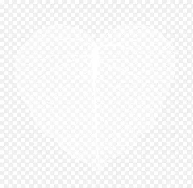 ��ɫ͸��Ҷ��-������