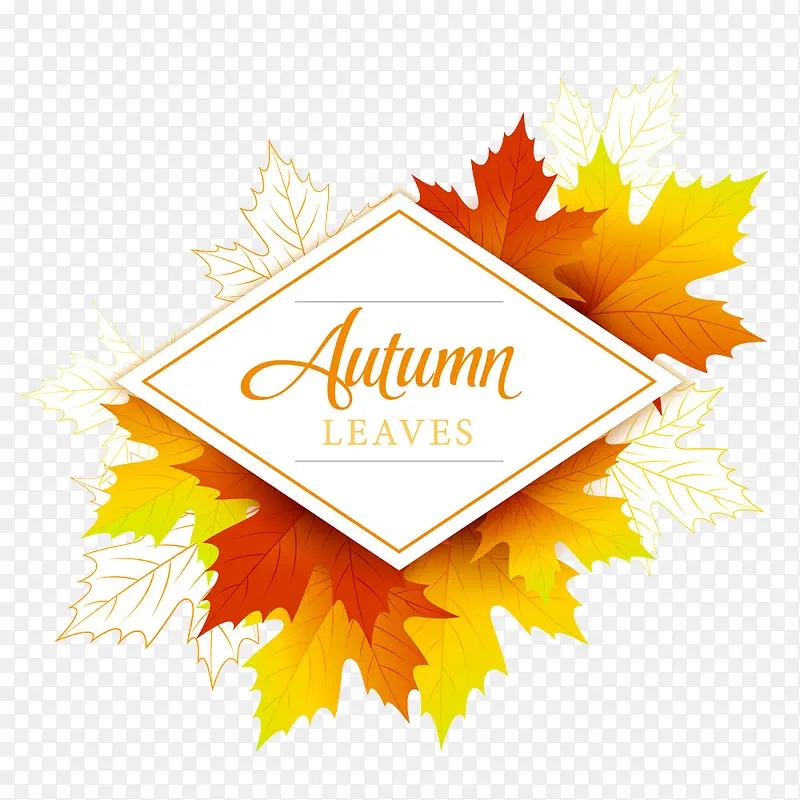 �＾��ǩ-������