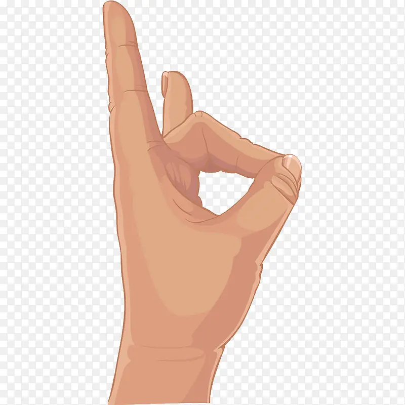 ��ָ�Ұ���-������