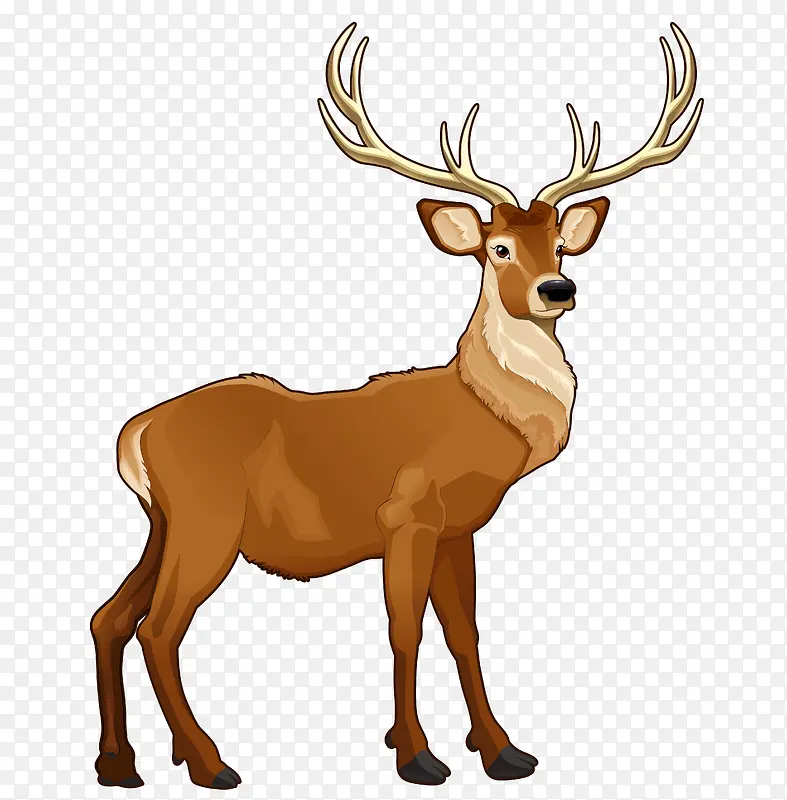 ʥ����¹�廭��-������