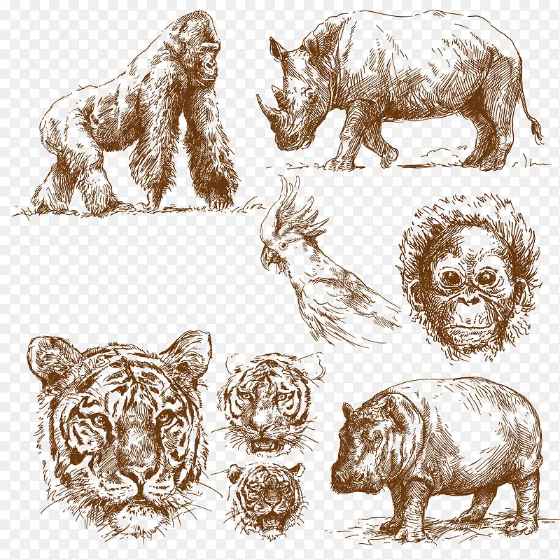 �ֻ�Ұ���������ʸ��ͼ-������