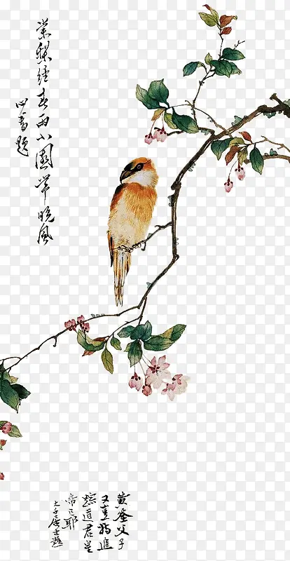 ˮ�ʻ�С��-������