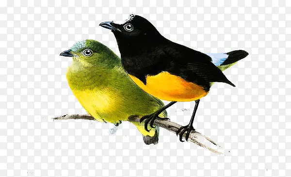 �ֻ�����廭-������