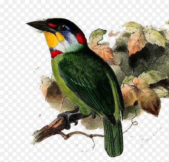 �ֻ�����廭-������