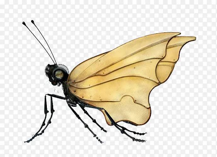 ����������-������