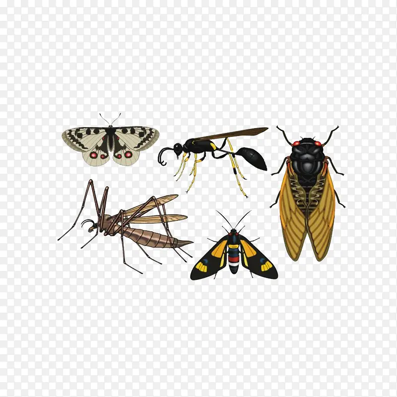 ��������-������