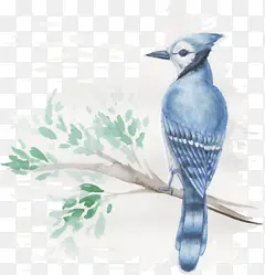 ��ͨ��-������