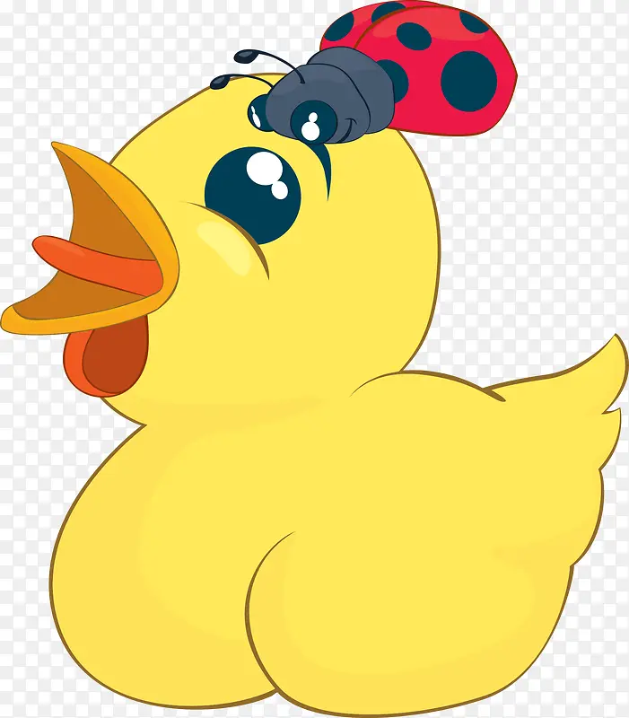 ��ͨС��ͷ��������ʸ��-������