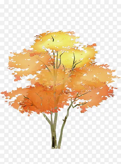 �ز��ز�-������