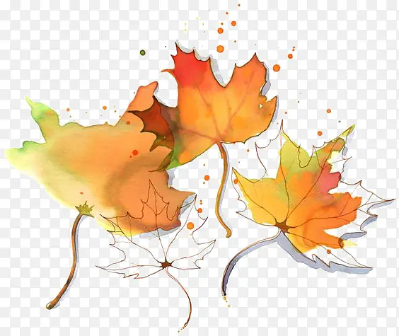 ˮ�ʷ�Ҷ-������