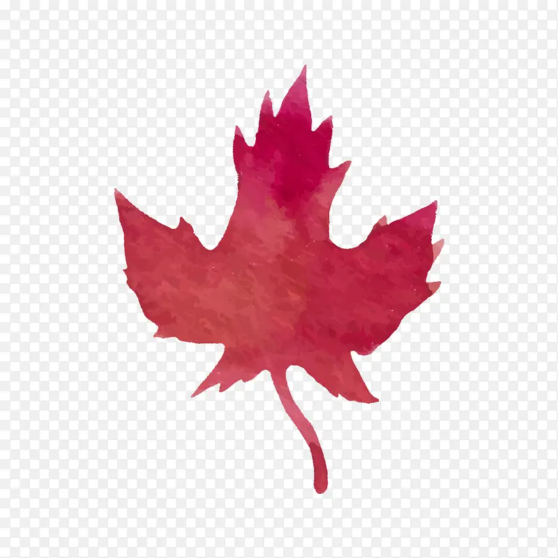 �ֻ�ˮ�ʷ�Ҷ-������