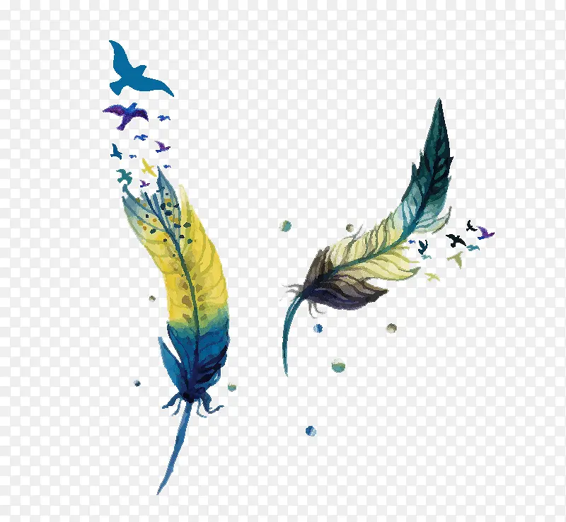 ��ͨˮ����ë-������