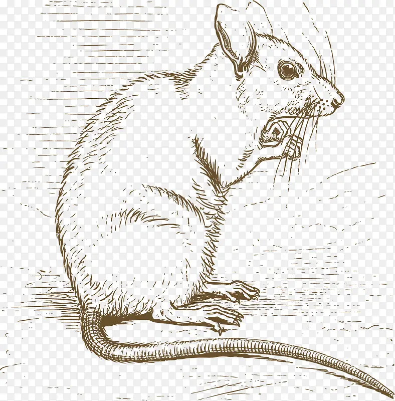 �ֻ��ɫʸ��ϸë����-������