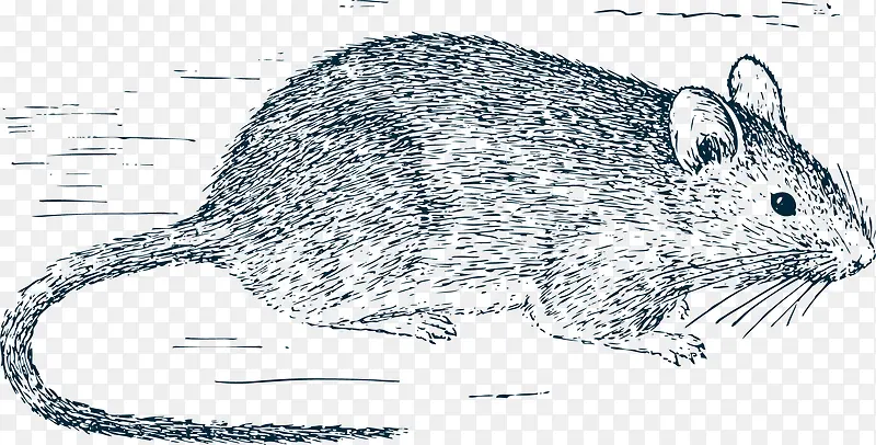 �ֻ�ʸ����ͨ����-������