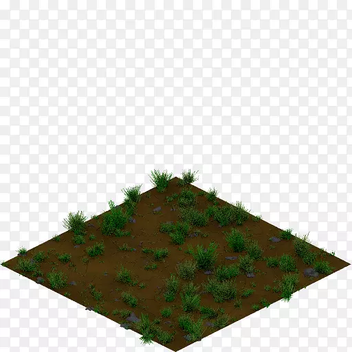 ���ɶ��������ͼ��ѧ.��ʯ-������