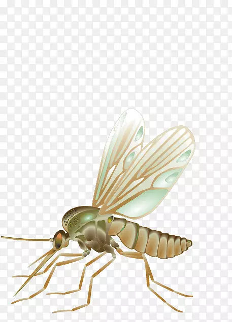 ��ý����-����-������