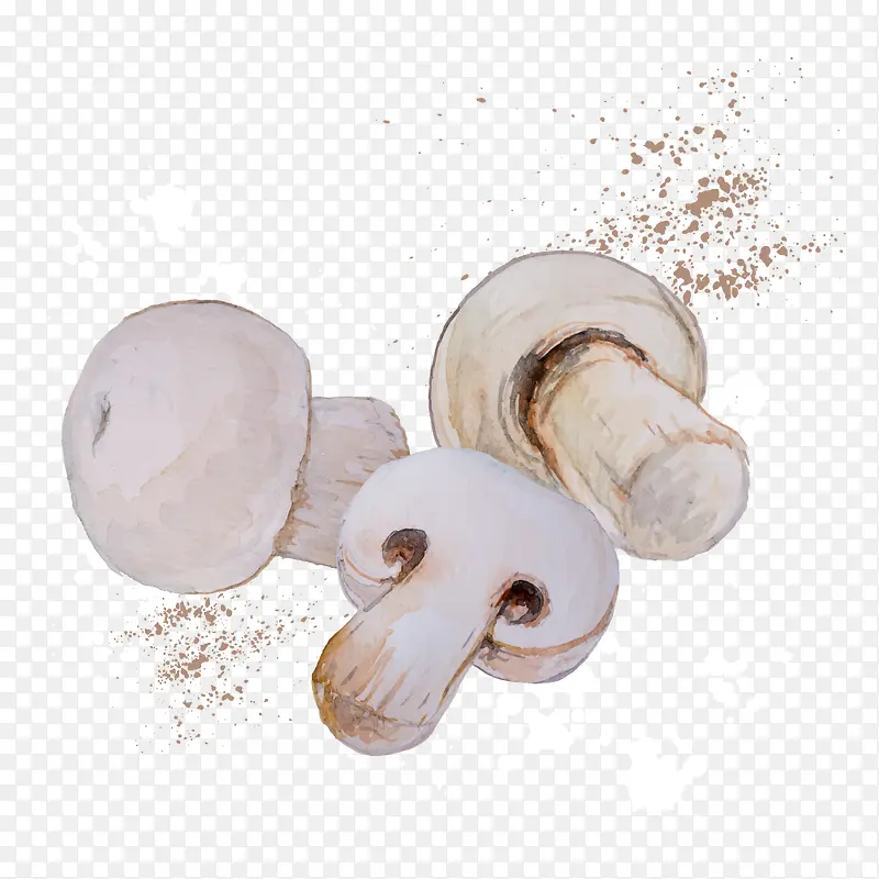 ʸ��ˮ��Ģ��-������